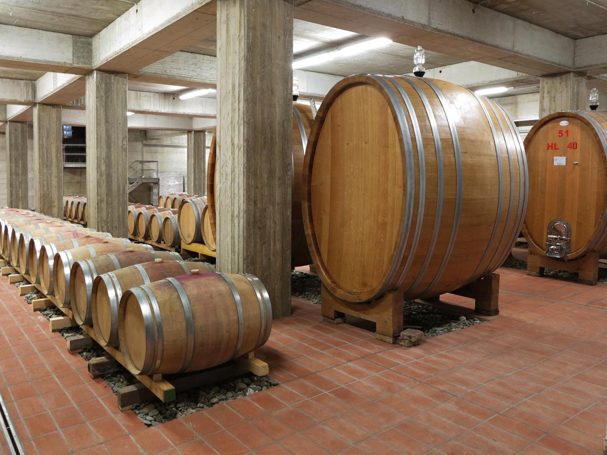 Poderi Firenze Guest House Cinigiano Ngoại thất bức ảnh