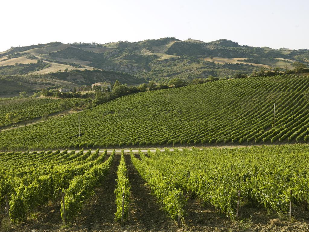 Poderi Firenze Guest House Cinigiano Ngoại thất bức ảnh